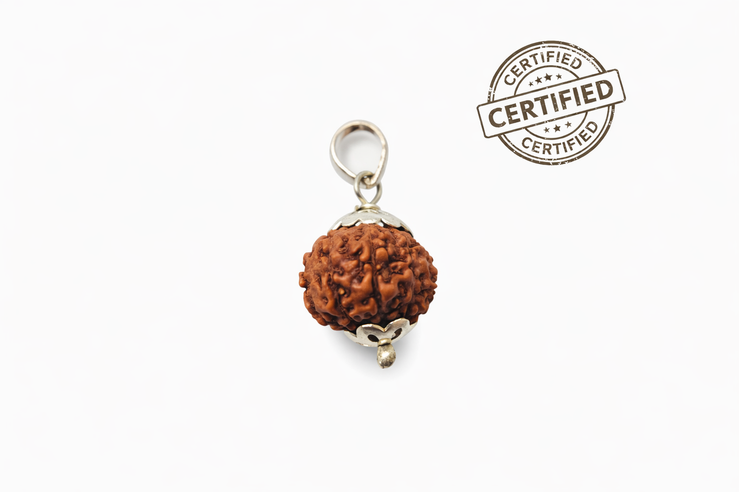 Original 10 Mukhi Rudraksha Locket - German Silver Capped - Lab Certified