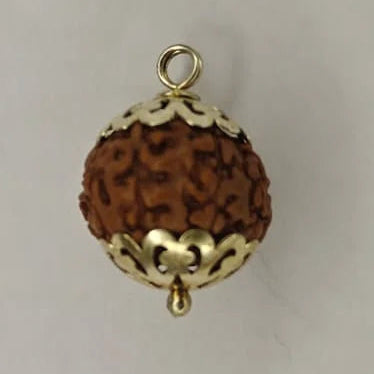 8 Mukhi Rudraksha Pendant (Eight Mukhi) – Ganesha Blessings, Lab Certified