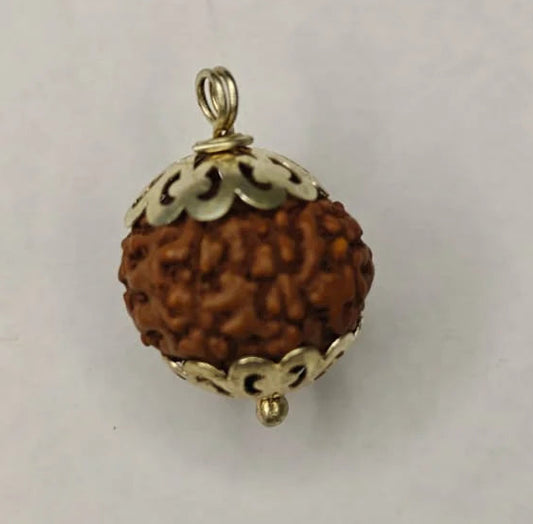 8 Mukhi Rudraksha Pendant - Ganesha Blessings, Lab Certified