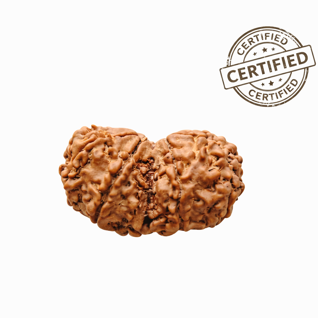 Gauri Shankar Rudraksha – Naturally Joined Pair, Nepal, Lab Certified