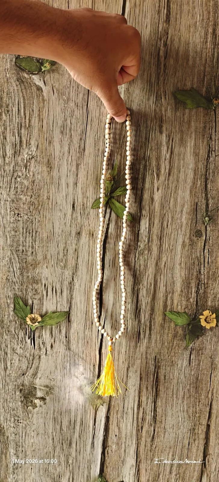 Tulsi mala with 108 sacred basil wood beads coiled for daily japa