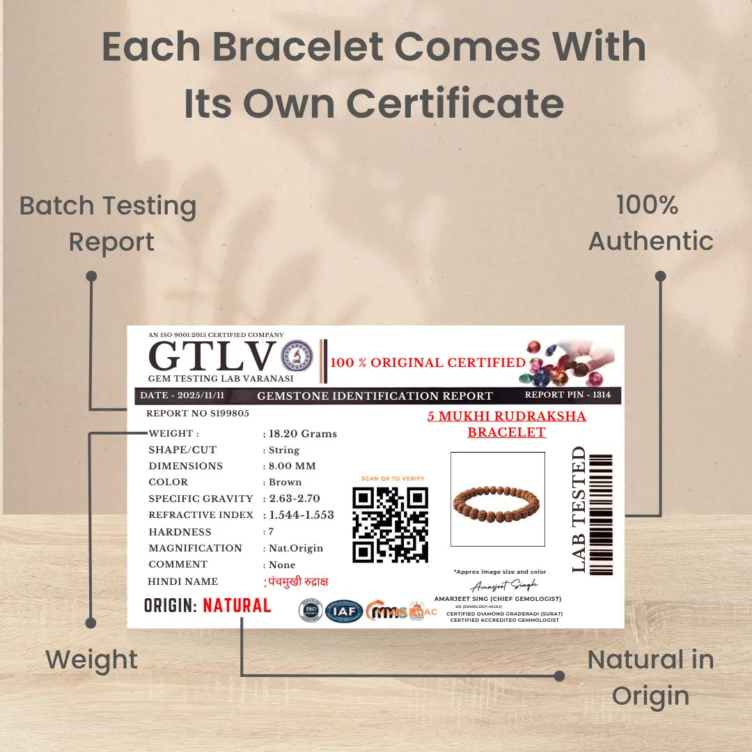 5 Mukhi Rudraksha Bracelet Lab Certificate