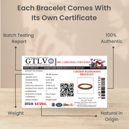 5 Mukhi Rudraksha Bracelet Lab Certificate