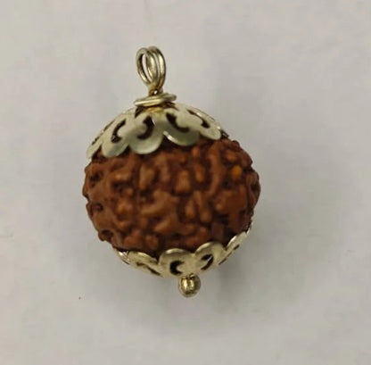 8 Mukhi Rudraksha Pendant (Eight Mukhi) – Ganesha Blessings, Lab Certified