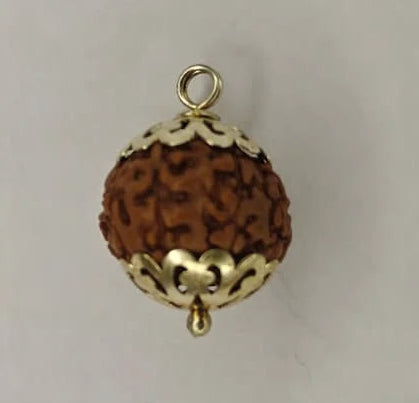 8 Mukhi Rudraksha Pendant (Eight Mukhi) – Ganesha Blessings, Lab Certified