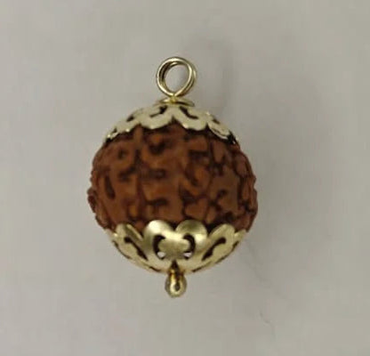 8 Mukhi Rudraksha Pendant (Eight Mukhi) – Ganesha Blessings, Lab Certified