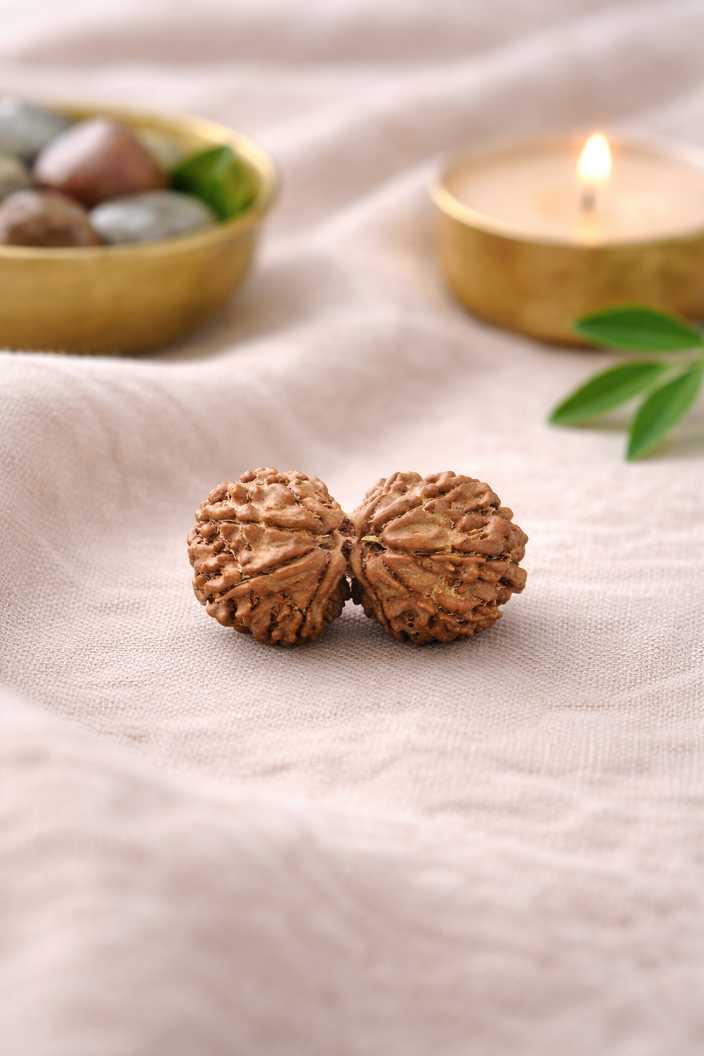 Original Nepal Gauri Shankar Rudraksha (Shiva-Shakti) - Certified Authentic